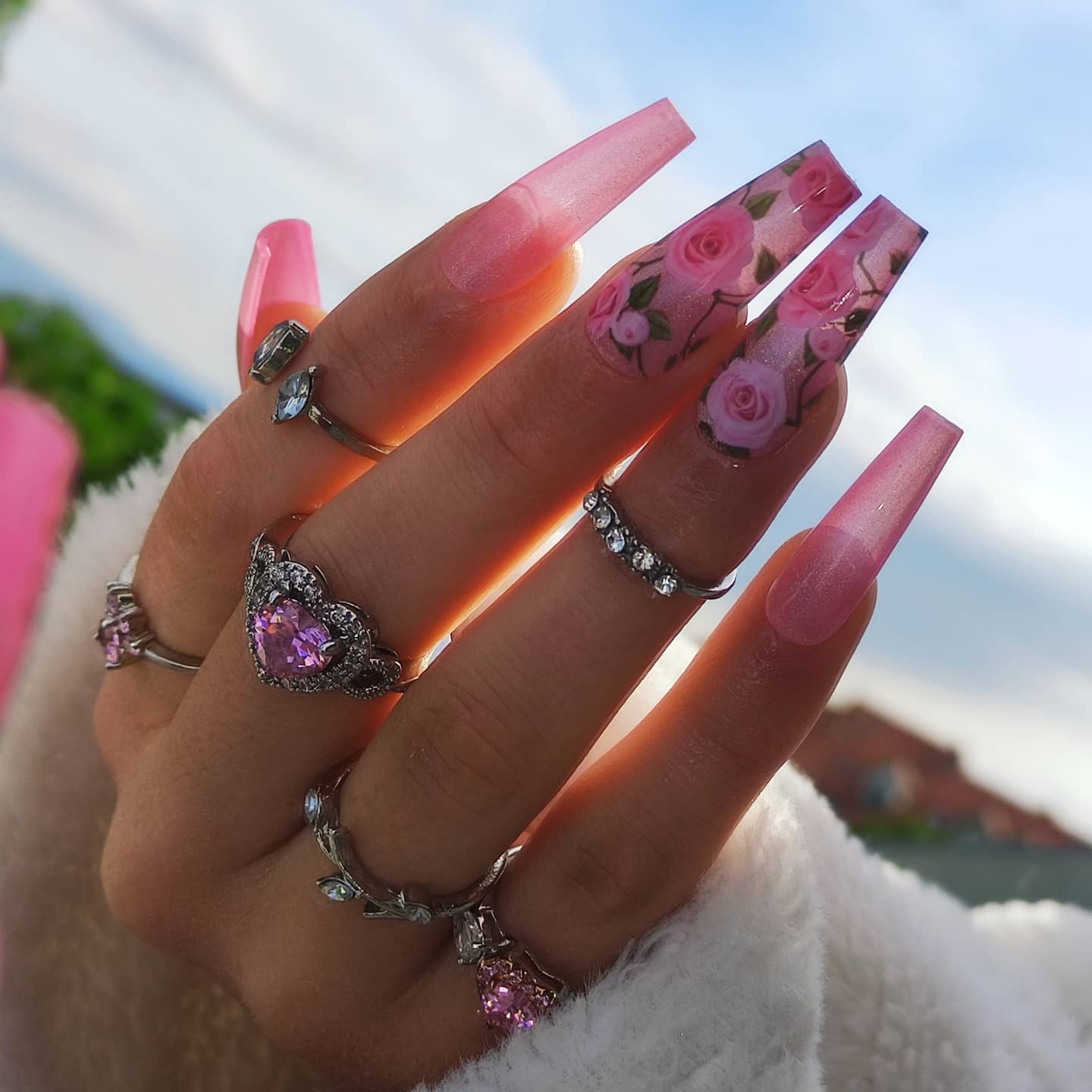 Rosy ♡