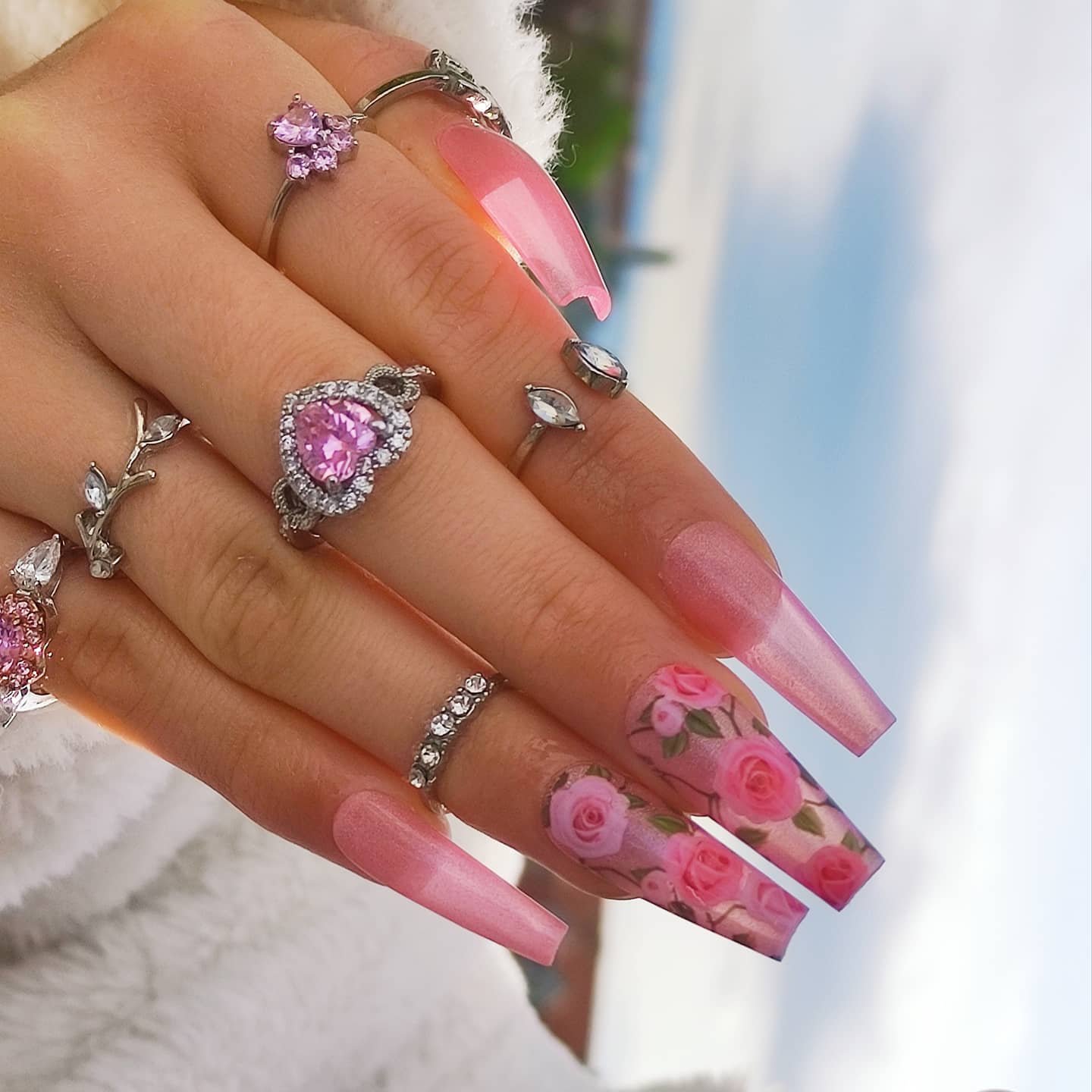 Rosy ♡