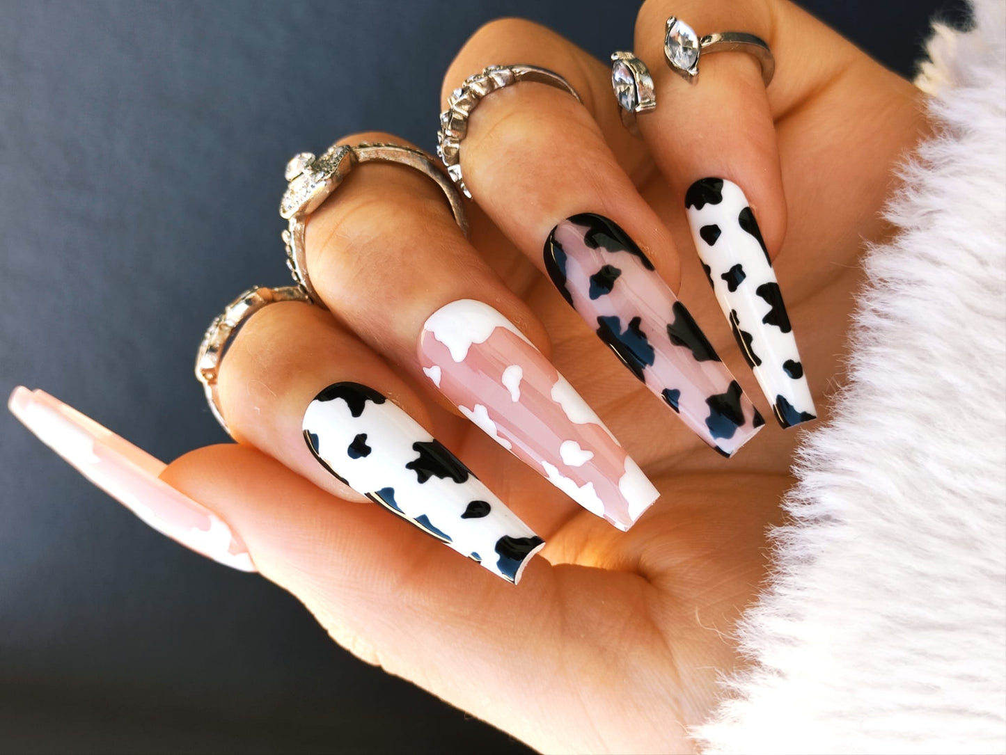 Dippy Cow ♡