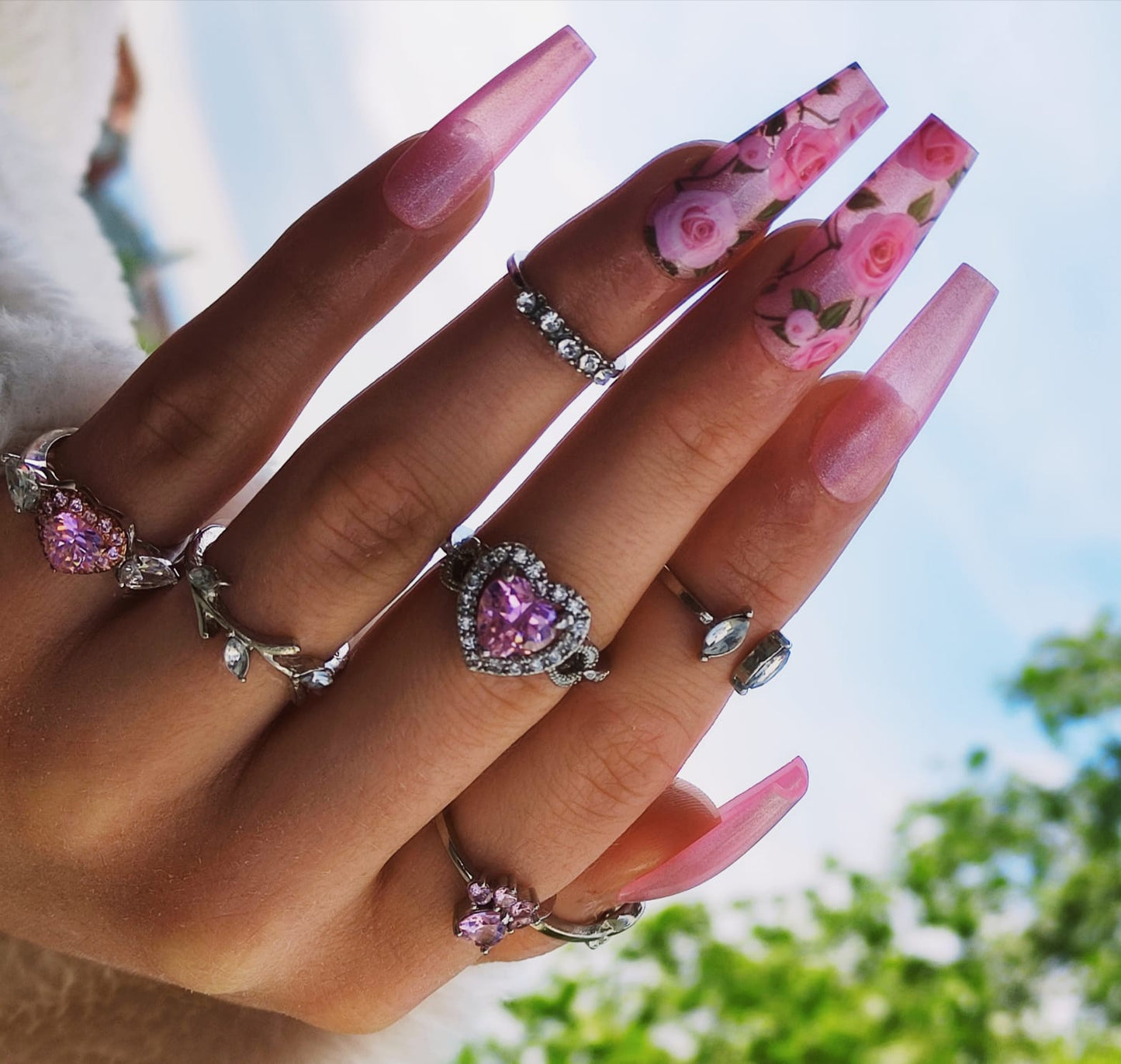 Rosy ♡
