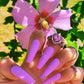 20s Caviar Lilac ♡