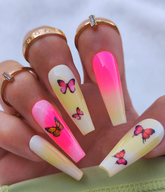 SummerFly ♡